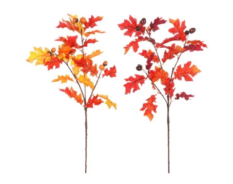 Podzimní větev (2 druhy) Dub