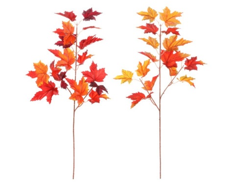 Podzimní větev (2 druhy)