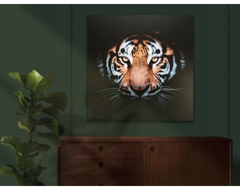 Obraz na plátně Tygří pohled